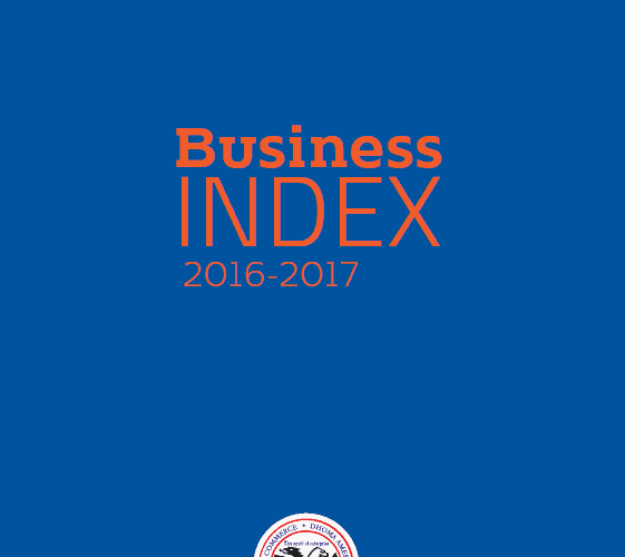 AmCham Business Index 2016-2017