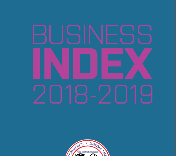 AmCham Business Index 2018-2019