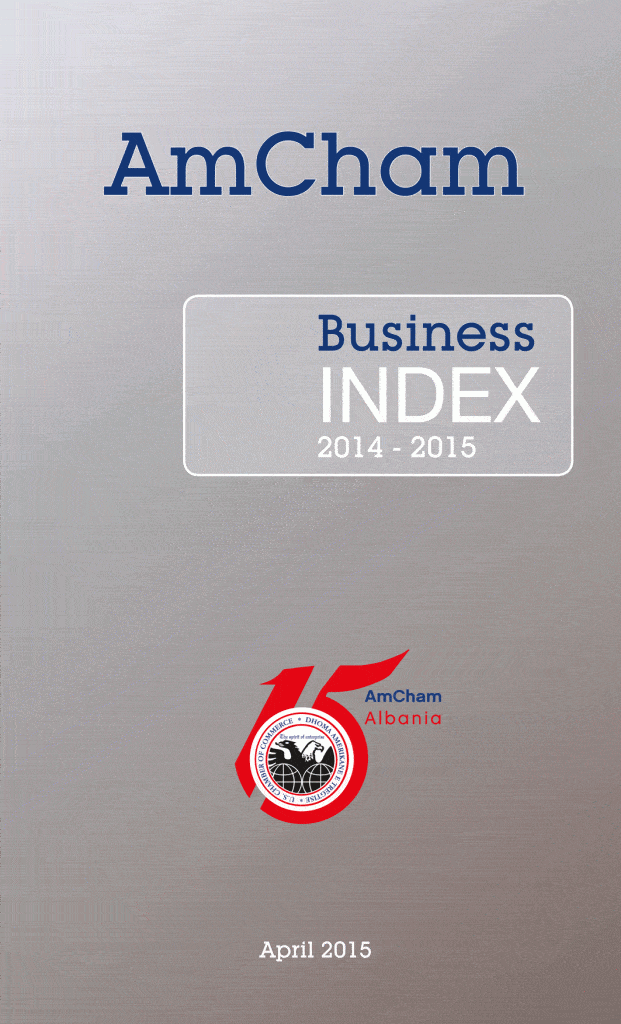 AmCham Business Index 2014-2015