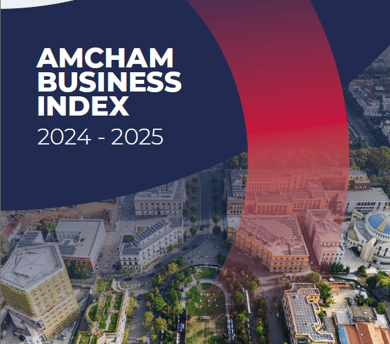 ABI 2024 - 2025 Cover